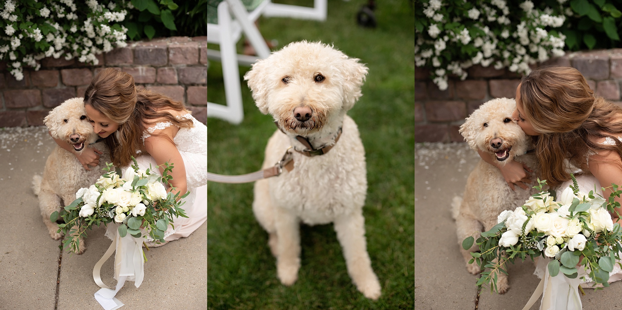bride and puppy share moment during her wedding ceremony