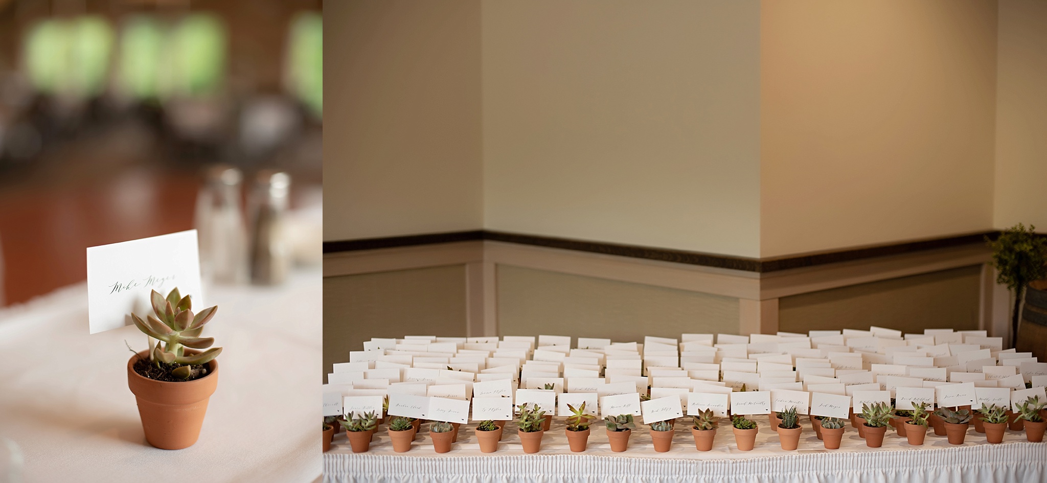 place cards and meal tickets in succulents as wedding guest gift